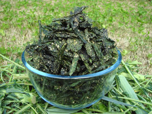 Kale Chips - Raw Living Foods